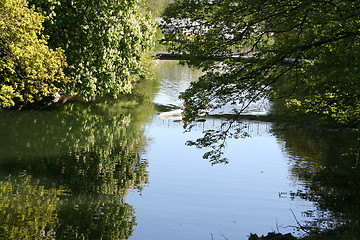Image showing Reflexion in pond