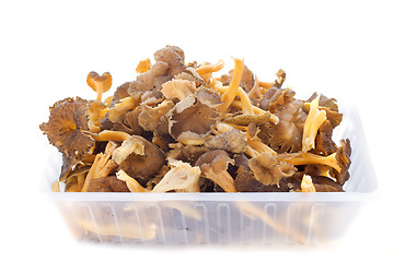 Image showing chanterelles