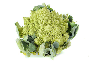 Image showing Romanesco broccoli