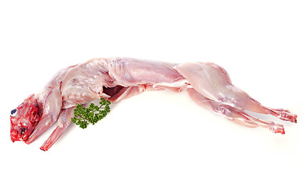 Image showing rabbit meat