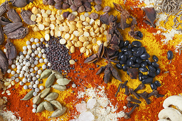 Image showing Star anise and black beans