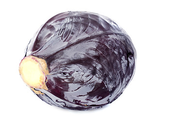 Image showing Red cabbage
