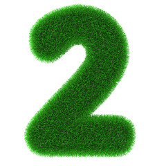 Image showing Number two made of grass