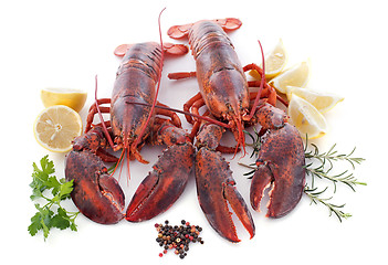 Image showing lobsters