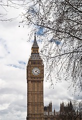 Image showing Big Ben with tree in London