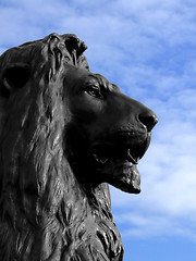 Image showing Lion head