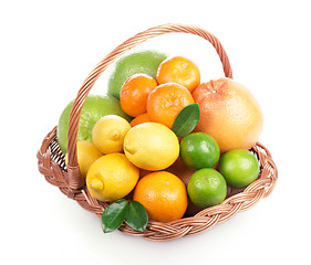 Image showing Fresh citrus fruit with leaves in a wicker basket