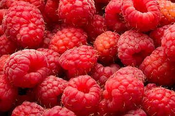 Image showing Raspberries