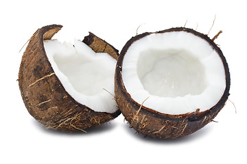 Image showing Coconut