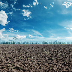 Image showing deep blue sky with clouds and black agriculture field