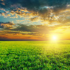 Image showing agriculture green field and sunset