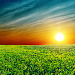 Image showing orange sunset over green field