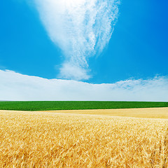 Image showing cloudy sky over golden and green fields