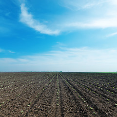 Image showing black plowed field and cloudy sky