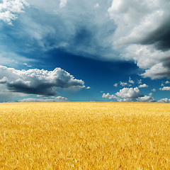 Image showing dramatic sky over field with golden harvest