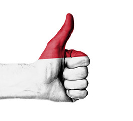 Image showing Closeup of male hand showing thumbs up sign