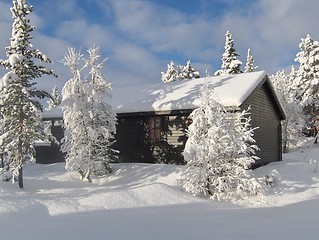 Image showing Cabin in the Norwegian winter mountain