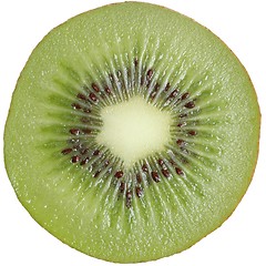 Image showing Kiwi slice