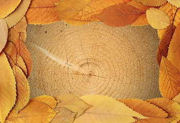 Image showing tree texture with golden leaves frame