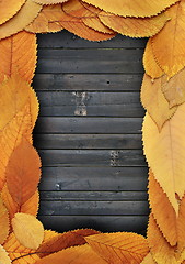 Image showing golden leaves frame on burned planks
