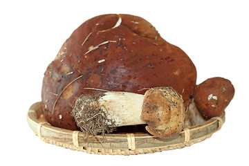 Image showing porcini mushrooms on wood basket