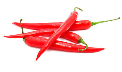 Image showing Hot chili pepper