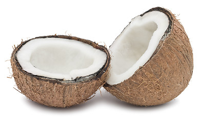 Image showing Coconut