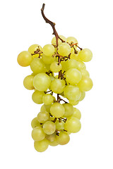 Image showing Grapes