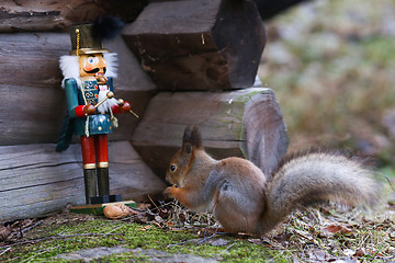 Image showing Nutcracker and Squirrel