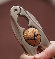 Image showing Cracking the Nut 