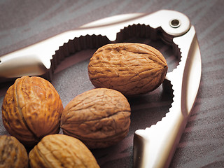 Image showing Nutcracker and Walnuts 