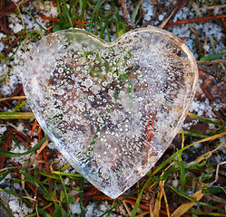 Image showing Heart of Ice 