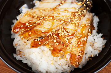 Image showing eel with rice