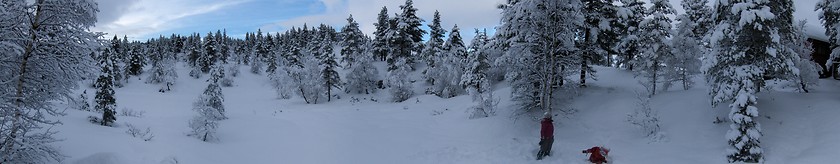 Image showing Panorama winter landscape