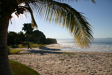 Image showing Mexican beach with palm trees