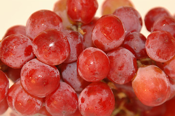 Image showing RED GRAPES