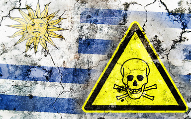 Image showing Old cracked wall with poison warning sign and painted flag