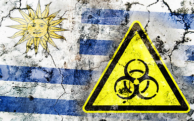 Image showing Old cracked wall with biohazard warning sign and painted flag