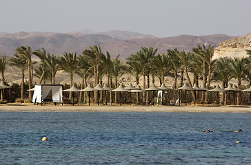 Image showing marsa alam in egypt