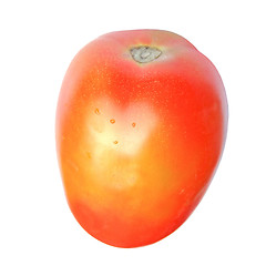 Image showing Tomato isolated