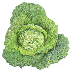 Image showing Green cabbage isolated