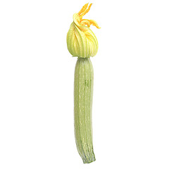 Image showing Courgettes zucchini