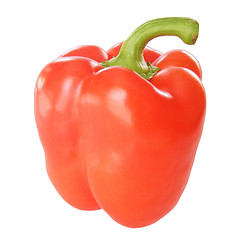 Image showing Pepper isolated