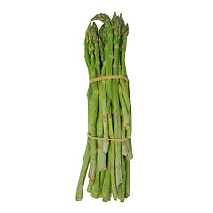 Image showing Asparagus isolated