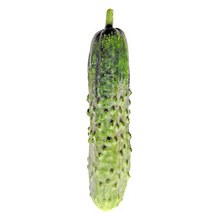 Image showing Cucumber isolated