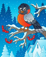 Image showing Winter bird theme image 1