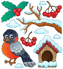 Image showing Winter bird theme collection 1