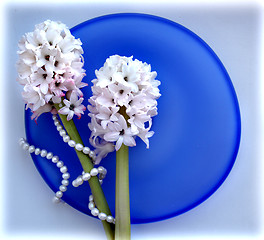 Image showing Flower backgrond , spring bloom