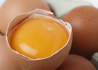 Image showing Egg yolk macro