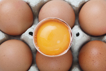 Image showing Egg yolk from above